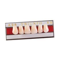 Dente Triunfo Anterior Superior