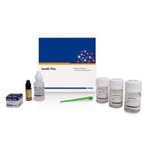 Ionômero de Vidro Restaurador Ionofil Plus - Voco