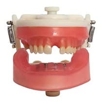 Manequim Implantodontia PD 108 - Pronew