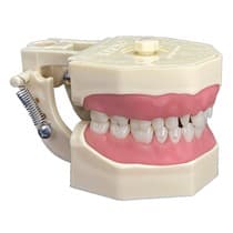 Manequim Materiais Dentários 210N - Orais