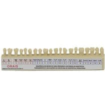 Sequência de Modelos Dentística - Orais