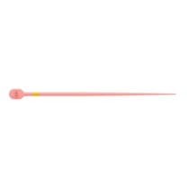 Gutapercha para Sistema Rotatório TruNatomy Conform Fit GP - Dentsply Sirona