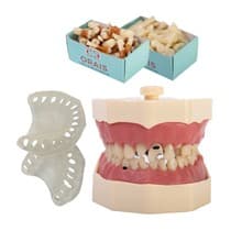 Kit Manequim Multidisciplinar 2171N - Orais