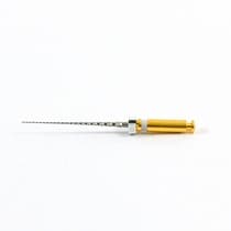 Lima Rotatória ProGlider Ster - Dentsply Sirona