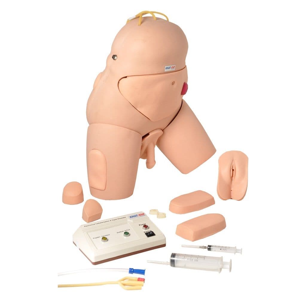 Simulador para treino de Cateterismo Bissexual