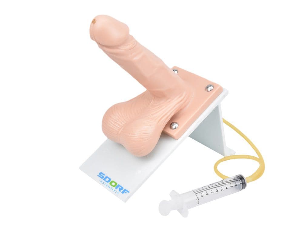 Orgão Sexual Masculino com Ejaculação - Portal do Médico