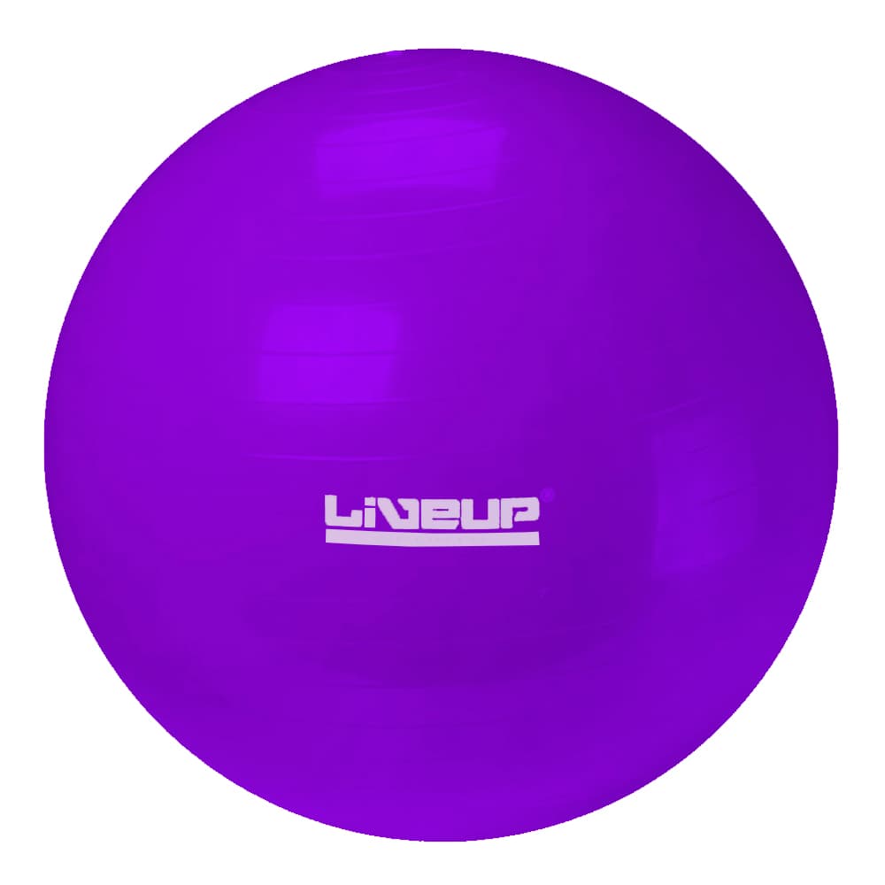 Bola Para Exercício Físico Pilates E Fisioterapia Liveup (Roxo/55cm)