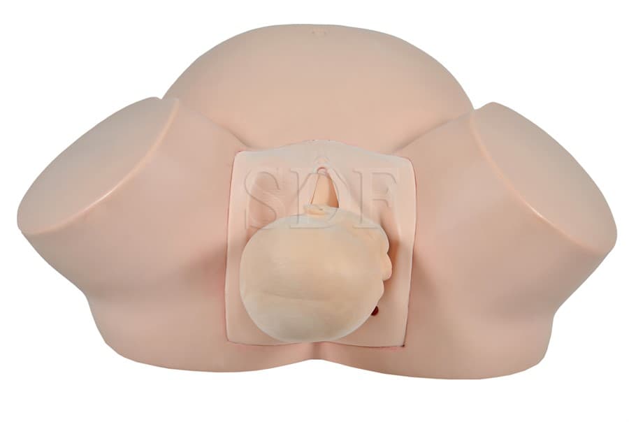Simulador de Parto Básico - SDORF Scientific - Portal do Médico