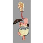 Sistema digestório em prancha -Anatomic - Portal do Médico