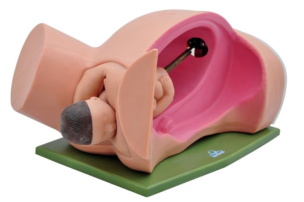 Simulador Médico Best Seller Parto Clássico - Portal do Médico
