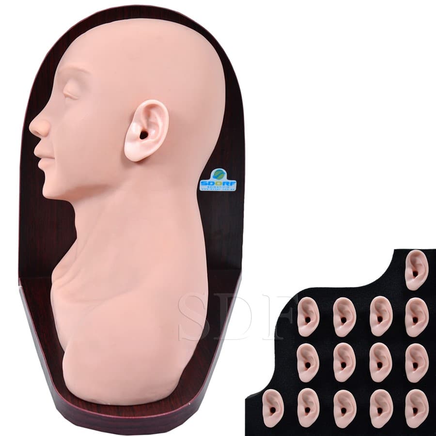 Simulador Avançado para Exame Otológico (Ouvido) - SDORF Scientific - Portal do Médico