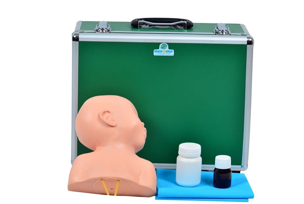 Cabeça Pediátrica Bebê Punção Venosa Simulador Médico - Portal do Médico