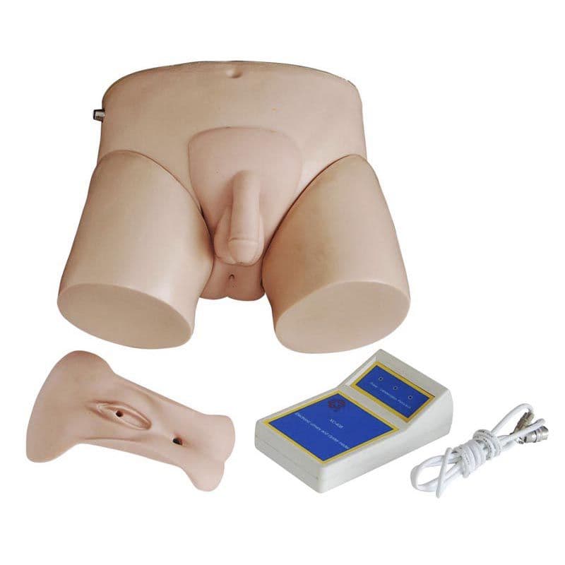 Simulador de Cateterização Bissexual